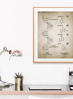 DNA化学序列教学复古怀旧海报教具创意生物实验室背景壁挂装饰画