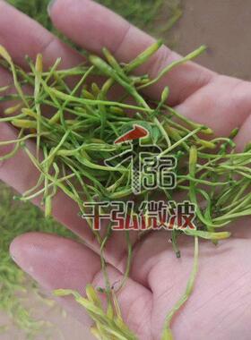 厂家茶叶微波杀青烘干设备大小型金银花玫瑰花微波烘干设备