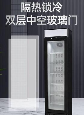 跨境立式冷冻柜商用出口低温展示柜慕斯冰淇淋小型家用冰箱冰吧