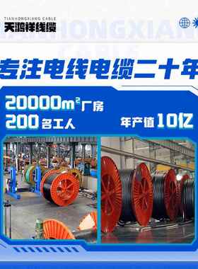 工程专用紫铜线低压电力铠装电缆YJV223*95+2*50现货