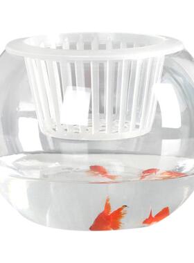 水培植物定植篮玻璃透明花瓶绿萝白掌专用水养容器花盆圆球形鱼缸