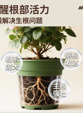 园艺生根粉移栽扦插促进生根发芽瓜果蔬菜花卉种植多肉促根营养肥