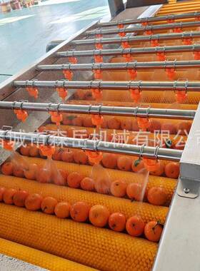 陈皮柑橘橙子蜜柚清洗抛光机分选机304不锈钢水果清洗风干一体机