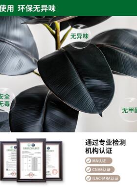 高级感黑金刚橡皮树彷真绿色植物室内假树盆栽彷生植物造景观装饰