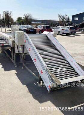 大型苹果筛选机 工业土豆分选机 商用千禧果选果机 大蒜筛选设备