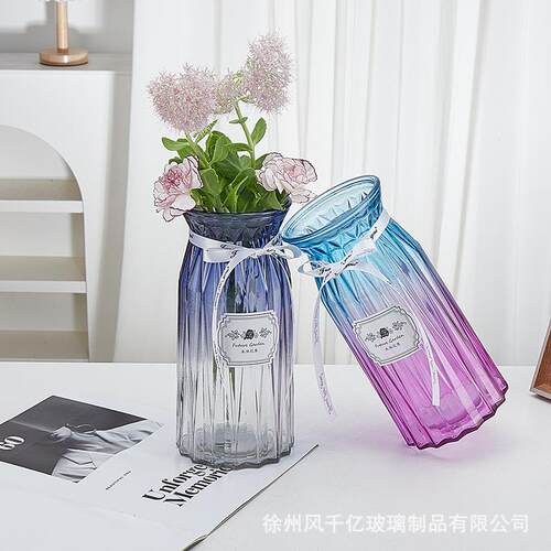 创意渐变玻璃花瓶客厅装饰干花插花桌面绿萝水培客厅家居摆件 - 图1