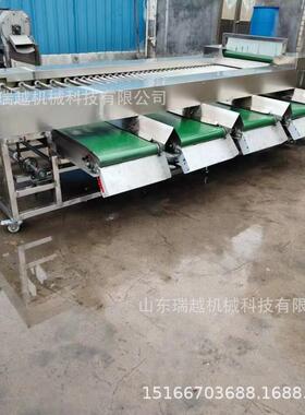 洋葱土豆筛选机分选设备厂家山竹百香果分选机橙子沃柑分级机