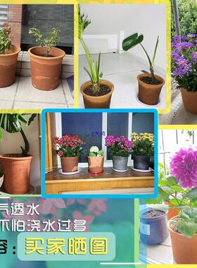 传统工艺纯手工红陶花盆特大泥盆瓦盆粗陶君子兰花盆土陶罐泥瓦盆