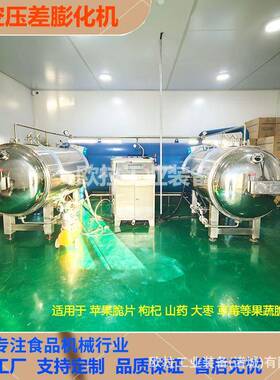 黄精材膨化机 宠物食品压差真空膨化干燥设备 草莓干真空膨化机