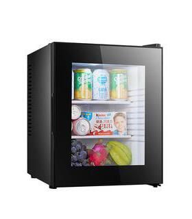 fridge电子迷你全静音冰箱饮料冷藏柜学校留样柜茶叶小冰箱家用
