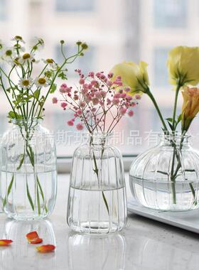 【萌巧明匠】小花瓶透玻璃竖条日轻奢桌面水装饰式插花培小HP2022