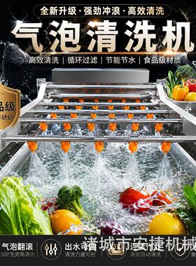 果蔬气泡清洗机红薯大姜不锈钢毛辊清洗机西蓝花生菜喷淋洗菜机