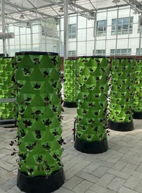 菠萝塔无土栽培霧培设施水果蔬菜大棚气雾栽培模式系统多层花盆