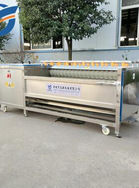 生姜去皮设备 大姜清洗机 黄姜清洗机 食品级304 型号多大蒜果蔬