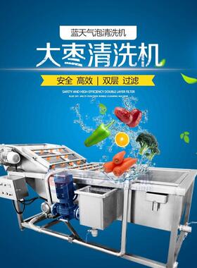 全自清动淋新大枣洗机红枣气泡清洗机20180722枣子喷式清洗机生产
