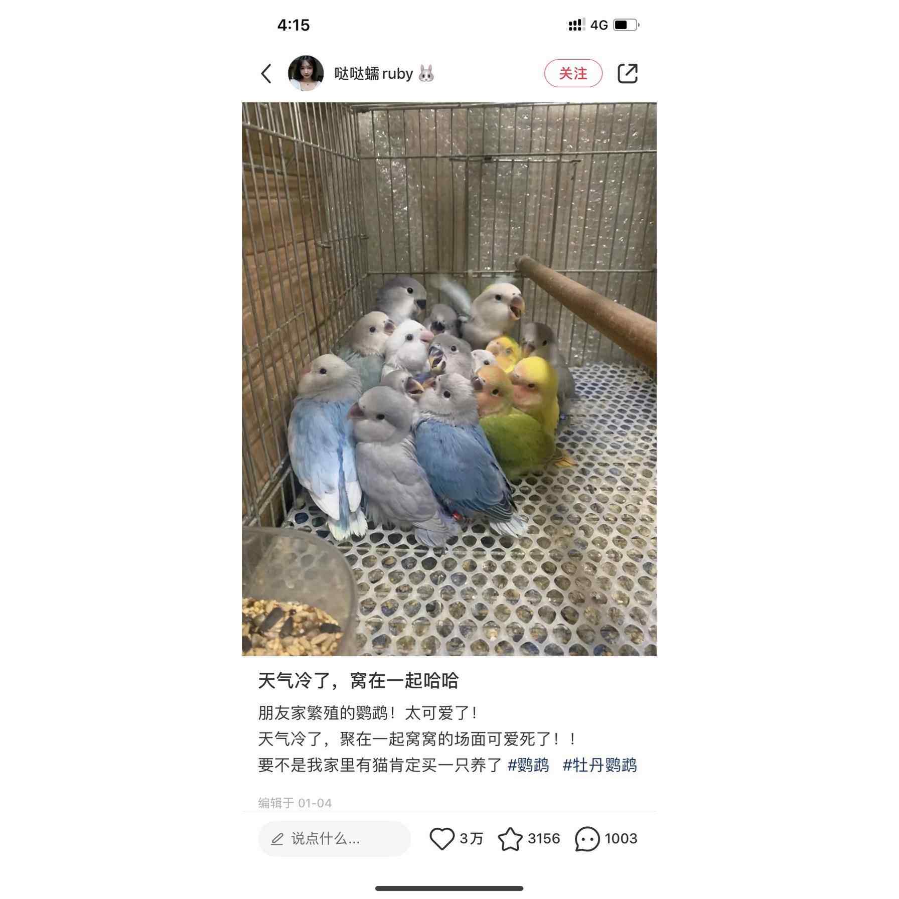 牡丹鹦鹉受精蛋种蛋可孵化玄风虎皮种蛋当天新鲜蛋受精率高品质受,淘宝优惠券,粉丝福利购,淘宝优惠卷