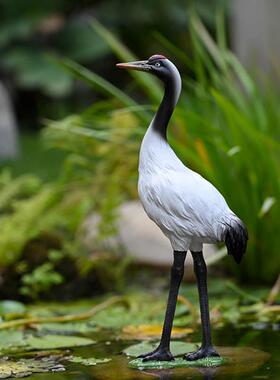 丹顶鹤小盆景饰品微景观彷真摆件造景假山花园庭院水鸟动物