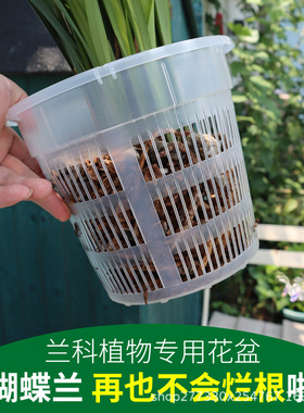 蝴蝶兰兰花专用塑料透气水培花瓶