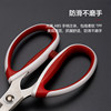 Daji pin series scissors for household fish killing and paper cutting
