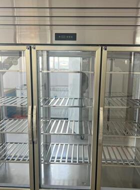 大三门双通玻璃门冷藏展示柜全钢铜管商用制冷保鲜柜蔬菜串串柜