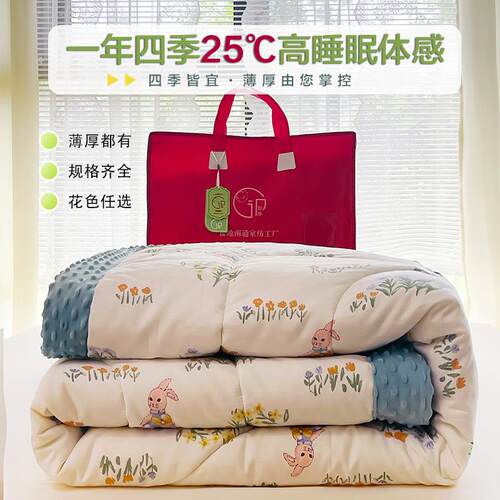 2025全棉豆豆被A类纯棉大豆被夏凉被四季被子被芯春秋被加厚冬被 - 图2