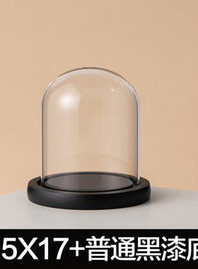 玻璃罩工艺品防尘罩永生装饰摆件