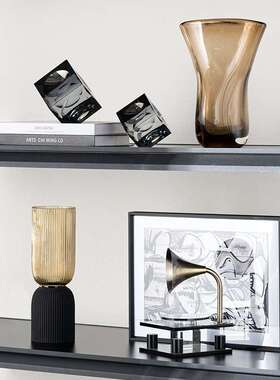 展艺贝子现代轻奢样板房客电旁示开厅放柜大平层CHEN-181玻视璃饰