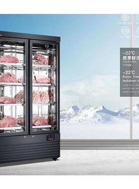 牛肉排酸柜干式商用肉类熟成展示柜单双门西餐厅自助火锅保湿保鲜
