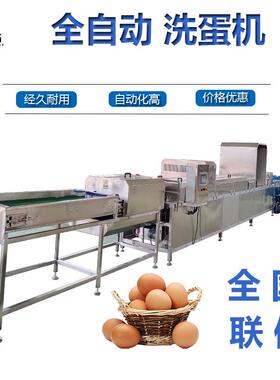商用双排鸡蛋清洗机保洁蛋清洗风干杀菌喷油设备一键启动鸭蛋清