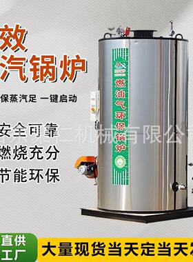 蒸汽锅炉柴煤两用家用蒸汽取暖炉立式燃油生物质蒸汽锅炉