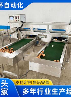蛋品分级机鸡蛋鸭蛋大小蛋类筛选光检检测选蛋机鸡蛋重量分级机