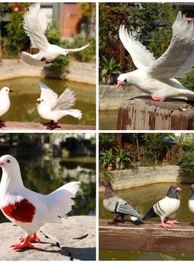 鸽子玩偶仿真鸽子摆件和平鸽假鸽子模型婚礼布置装饰道具鸟类标本