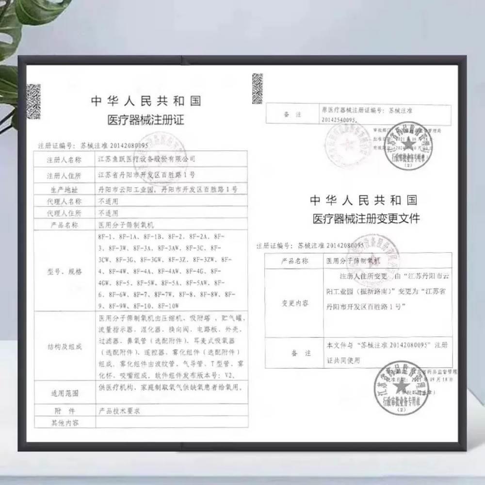 制氧机家用吸氧机老人孕妇小孩家庭式便携氧气机带雾化YU360 - 图1