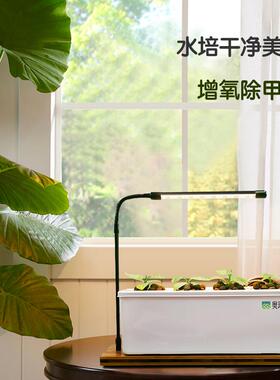 新款 室内水培种植箱 家庭阳台桌面无土栽培设备花卉盆栽植物花盆