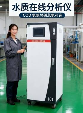 COD在线分析仪水质在线化验设备生活废水总排一体化尾水监测站