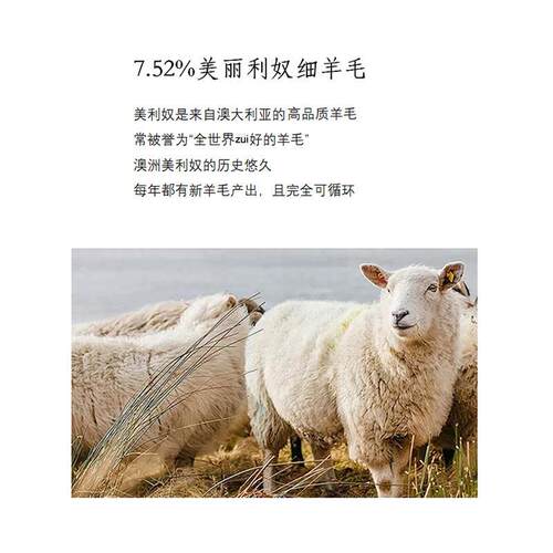 40S兰精天丝面料180G美丽奴羊毛弹力针织保暖打底布料拉架1*1罗纹 - 图2
