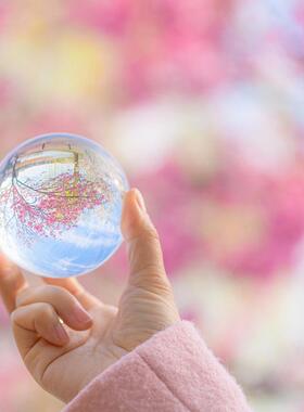 新款直销北欧轻奢金属树叶水晶球摆件书房书柜酒框样板房玄关装饰