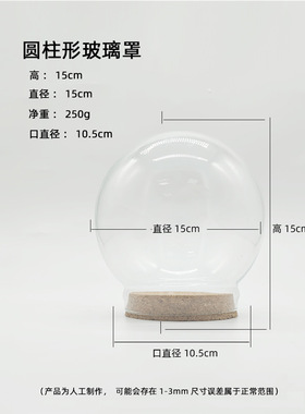 diy玻璃罩软木塞纪念品装饰摆件