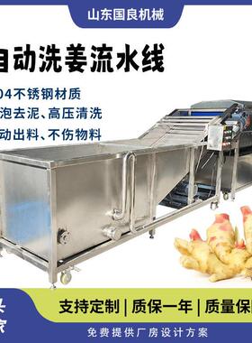 果干西梅干清洗分选流水线 芋头红薯土豆毛刷喷淋去泥机