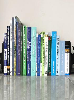 样板房软装摆件 茶几简约现代大画册 黑白灰彷真书装饰道具书饰品