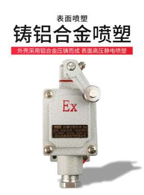 DLXK防爆行程开关单摇臂防爆限位开关柱塞式挠性触头式墙壁开关
