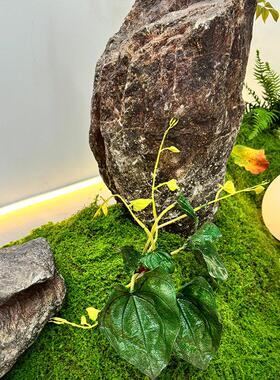 彷真绿色植物造景组合摆设森系植物隔断彷生南天竹假花橱窗软装假