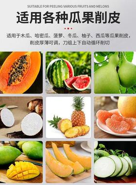 针插式果圣天蔬削皮机不锈钢去全自动瓜果脱皮刨头皮机机冬瓜皮机
