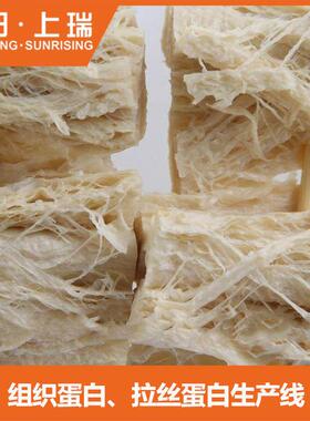 时产30公组斤织织蛋白生产线 拉丝蛋白生产线CY65 0组蛋白加工设