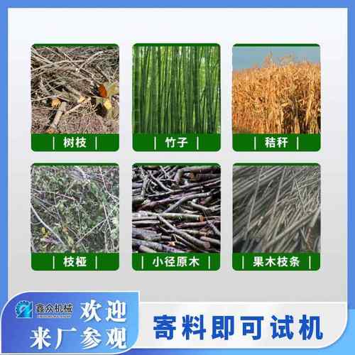 大型树枝粉碎机高喷出料园林干湿树叶木材破碎移动式碎枝机源头厂 - 图2