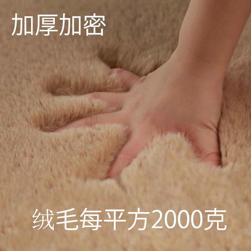 Tatami floor mat Japanese and Korean imitation rabbit fur long hair living room coffee table carpet bedroom room bedside bay window blanket