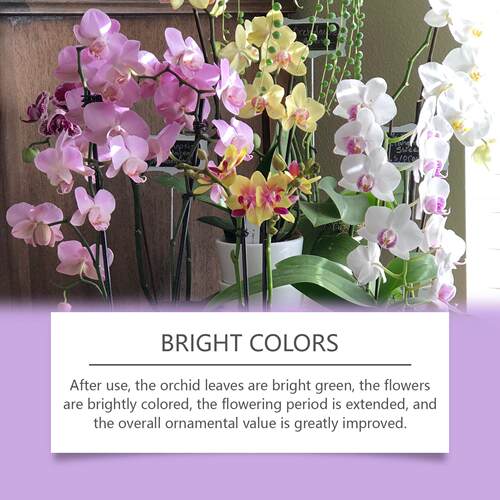 MoonSpry Orchid Plant Growth Enhancer - Nutrient Solution Sp - 图2