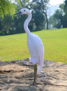促销彷真羽毛白鹭摆件苍鹭牛背鹭湿地水鸟动物模型园林景观装饰