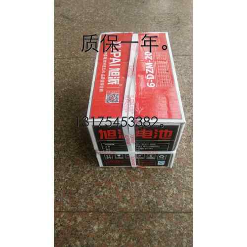 旭派电动车电池48V12AH/48V20AH/60V20AH/72V28AH/60V72V32AH/45 - 图0