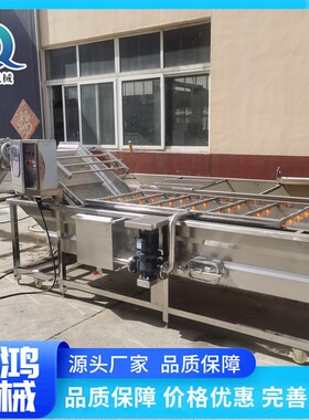 商用海带清洗机油麦菜气泡设备学生餐厅蔬菜加工流水线果蔬食品级
